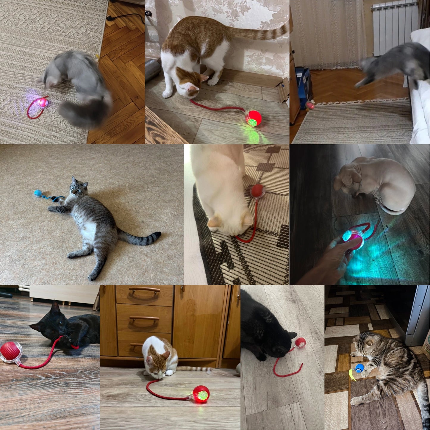 Self-moving & Interactive Toy