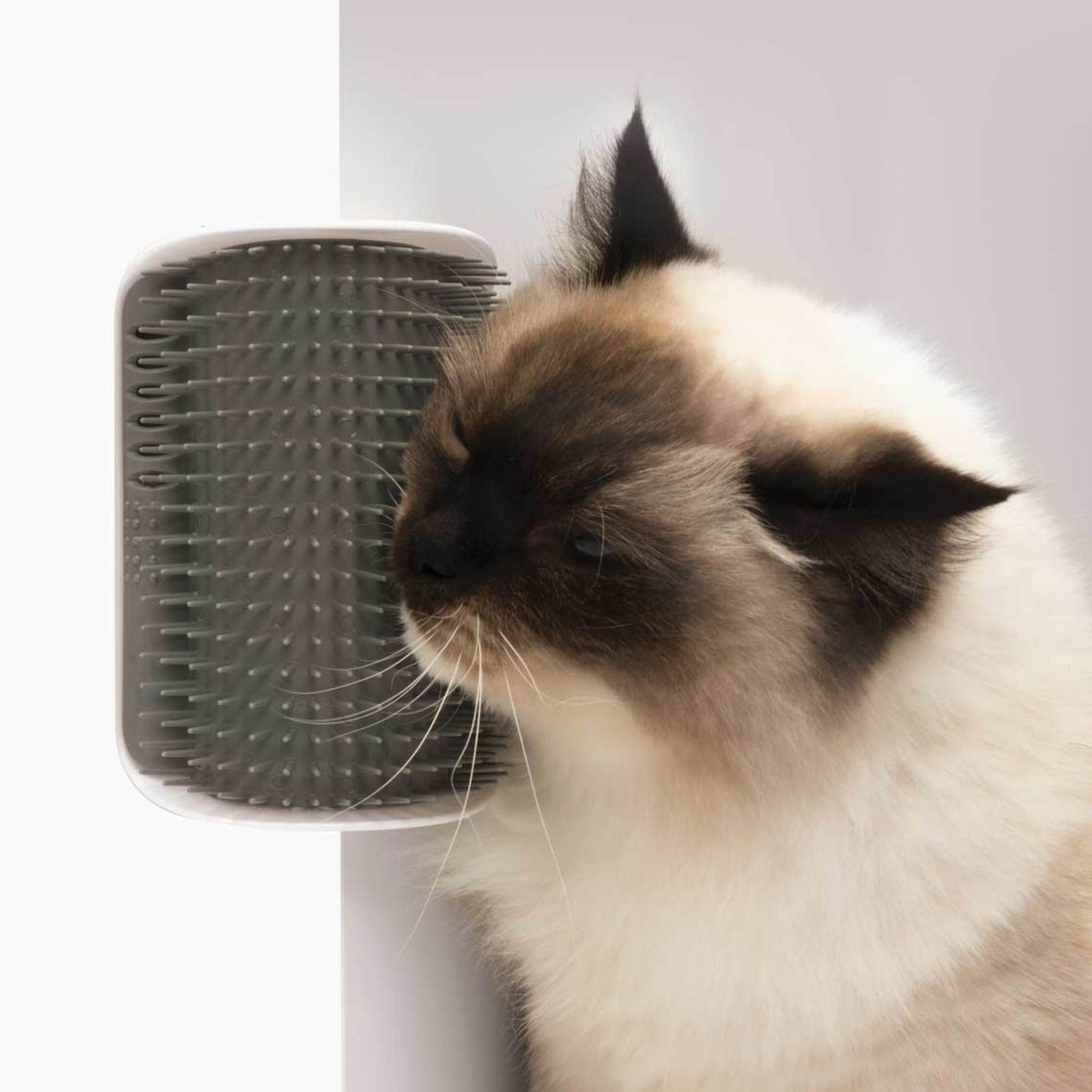Self-grooming Corner Brush