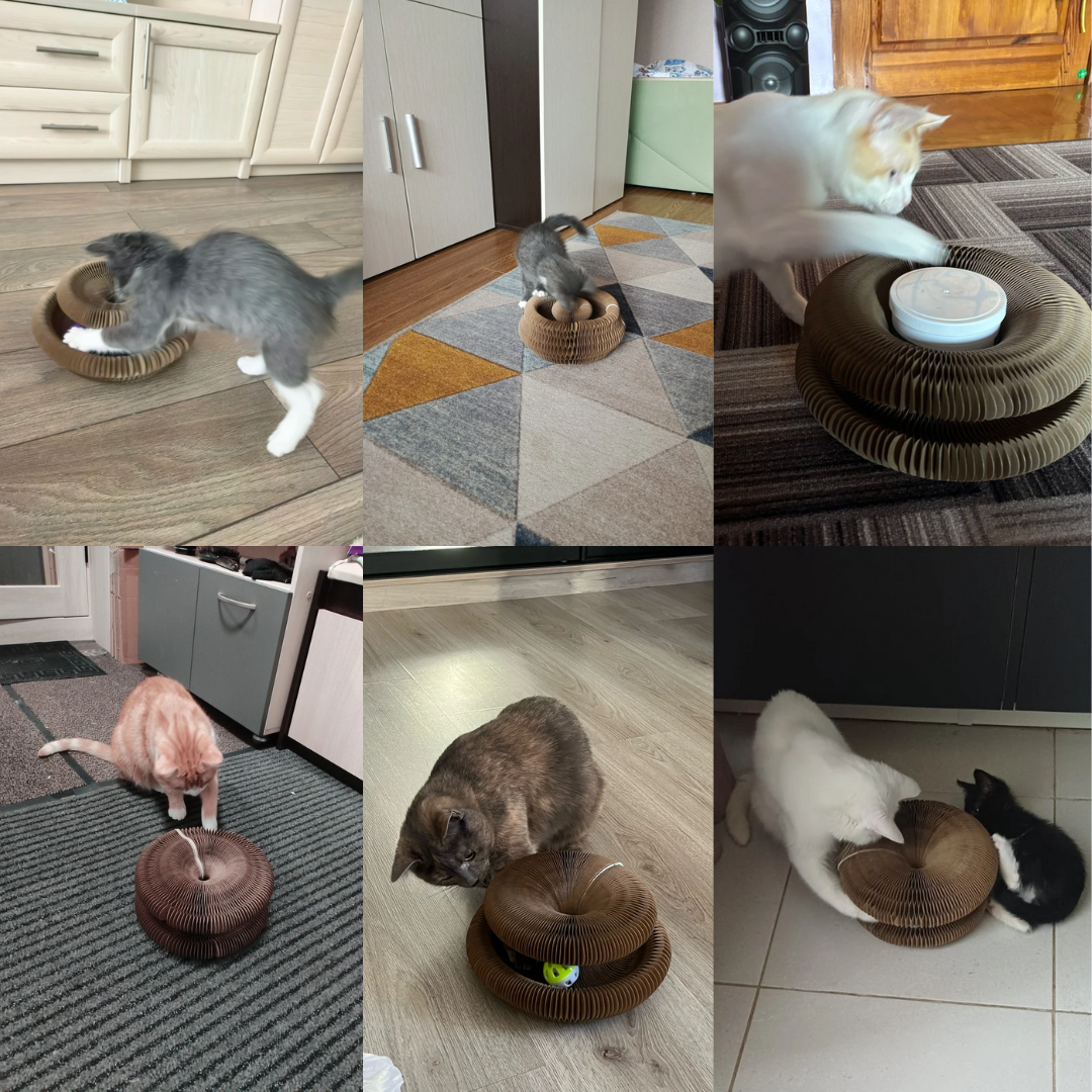 TwistyCat: Toy + Scratcher