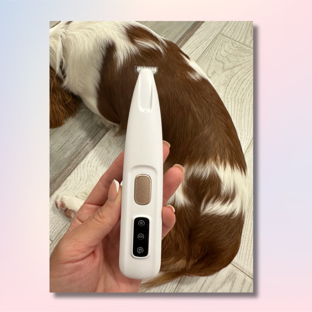 Paw Trimmer with built-in light