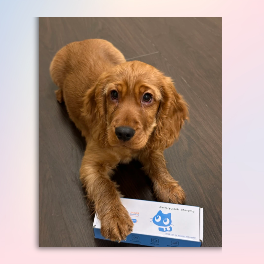 Paw Trimmer with built-in light