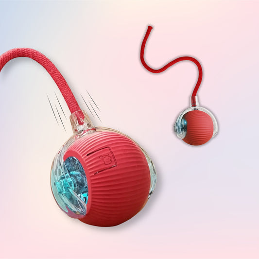 Self-moving & Interactive Toy