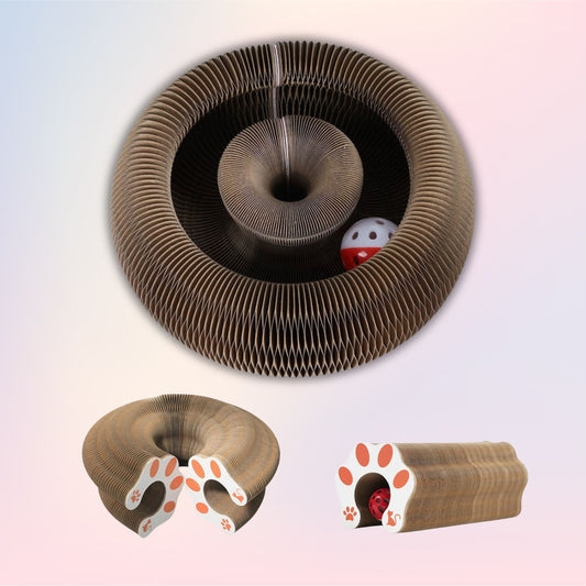 Interactive Toy & Scratcher