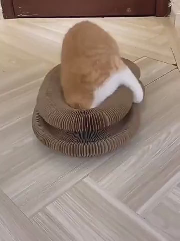 TwistyCat: Toy + Scratcher